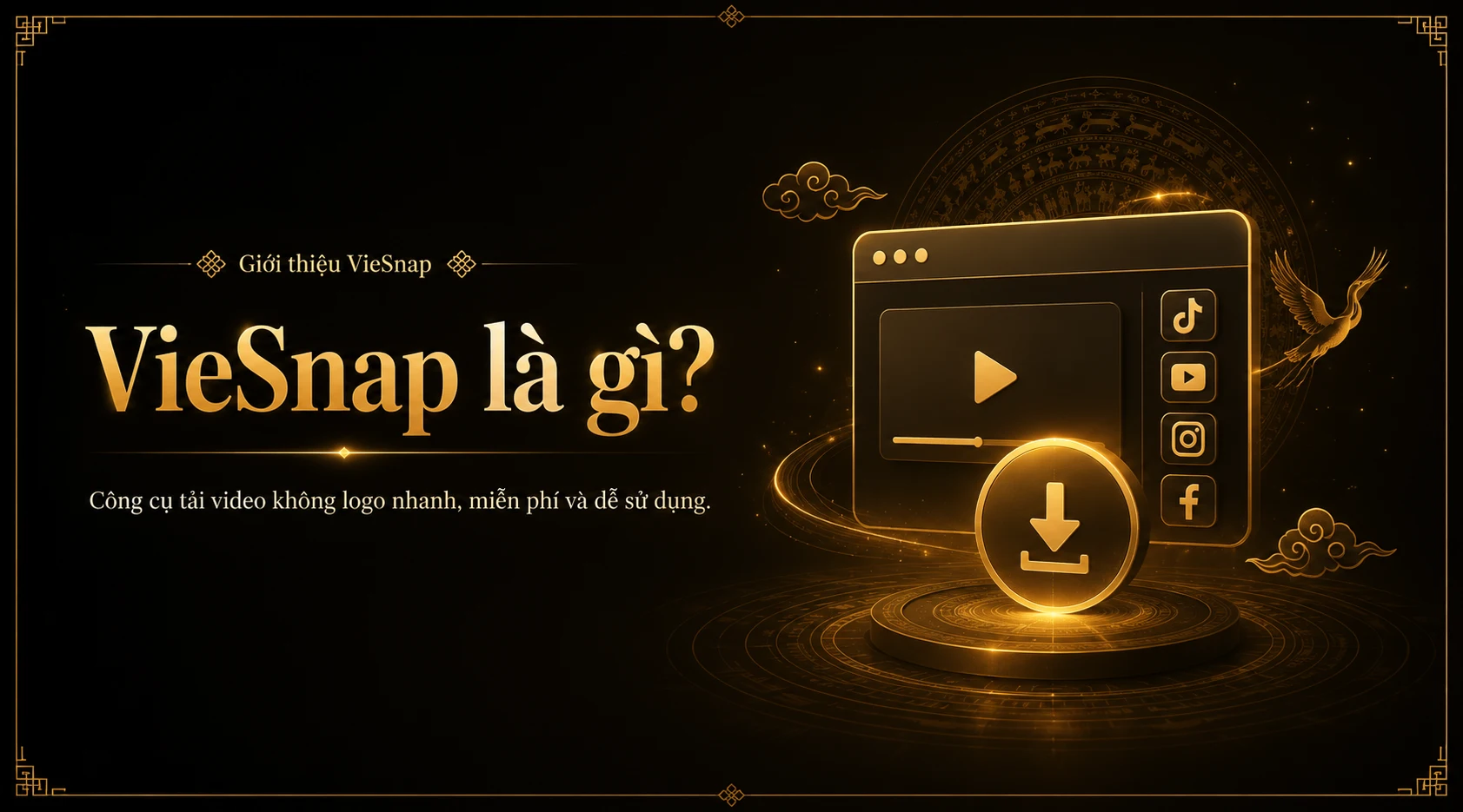 Viesnap là gì Viesnap là gì